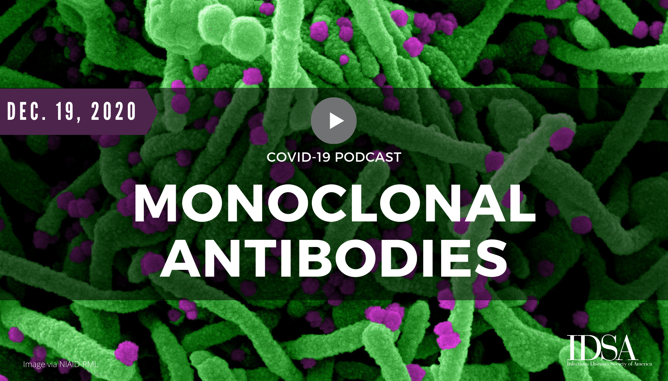 COVID-19 Monoclonal Antibodies