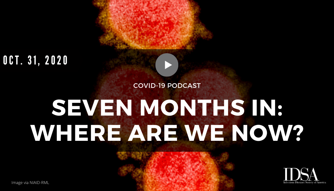 Seven Months In: Where Are We Now? (Oct. 31, 2020)