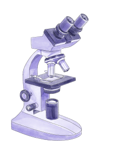 404 - Page not found