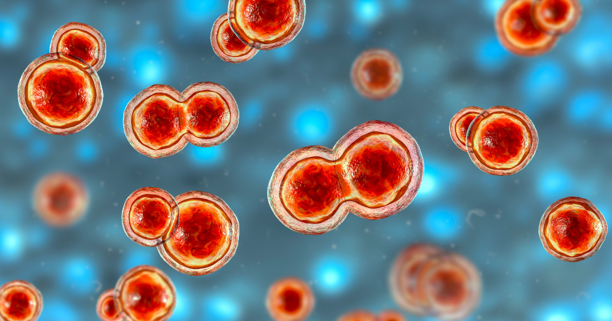 Are fungal infections being missed under the shadow of TB in endemic ...